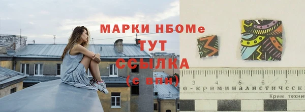 прущие грибы Абинск