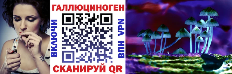 Псилоцибиновые грибы Psilocybe  цена наркотик  Вологда 