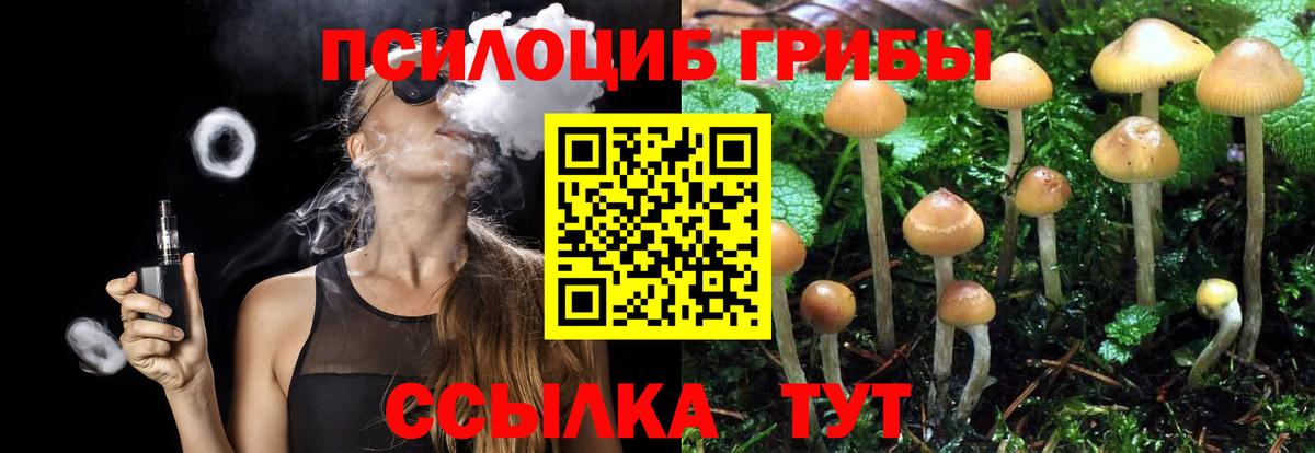 Вологда  Галлюциногенные грибы Psilocybine cubensis  Вход с VPN  Галлюциногенные грибы прущие грибы 