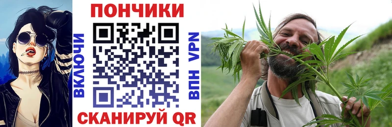 цена   Вологда  Конопля ГИДРОПОН 