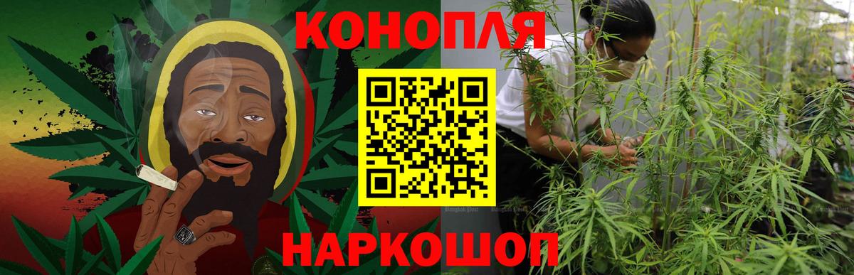 Марихуана гибрид Вологда